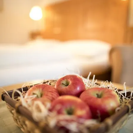 Szálloda Alpenrast Tyrol 3*